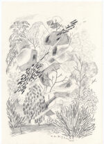 Kensington Garden <br> 2016