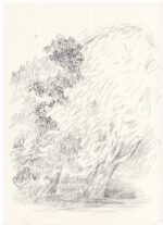 Trees of Mind <br> 2017