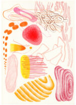 Sweet Shell <br> 2021