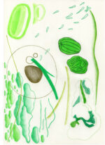 Pill and Seed <br> 2021